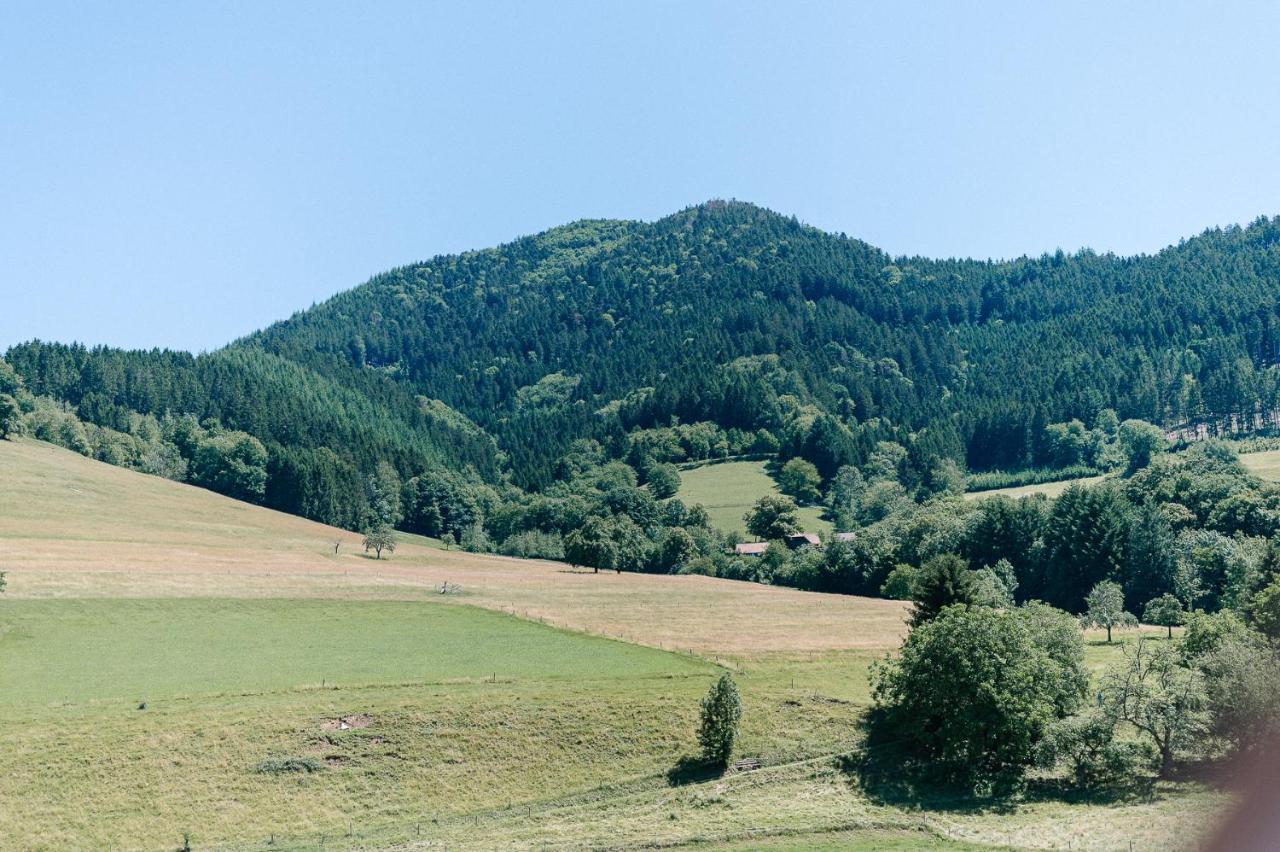 Moderne 2 Zi.-Fewo Blackforest Art Naehe Freiburg シモンスヴァルト エクステリア 写真